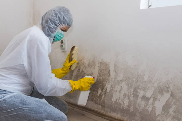 Best Commercial Mold Inspection  in Merlin, OR