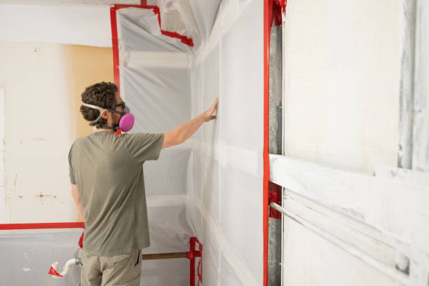 Best Environmental Consulting for Mold Prevention  in Merlin, OR