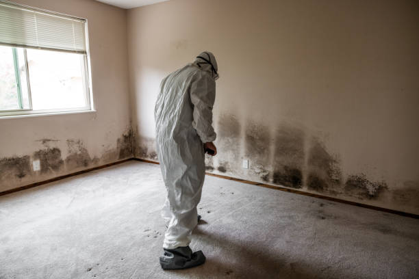 Best Dehumidification Services  in Merlin, OR
